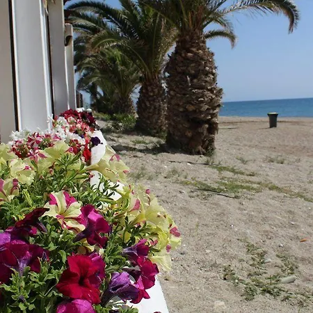 Hospedium Continental